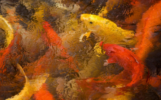 482233 (a): :1920x1200